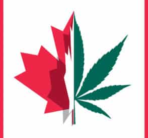 Canadian Cannabis Investments Flow into Canada
