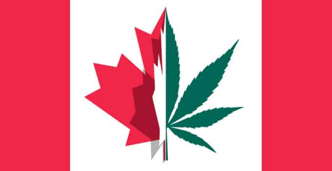 Canadian Cannabis Investments Flow into Canada