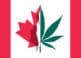 Canadian Cannabis Investments Flow into Canada