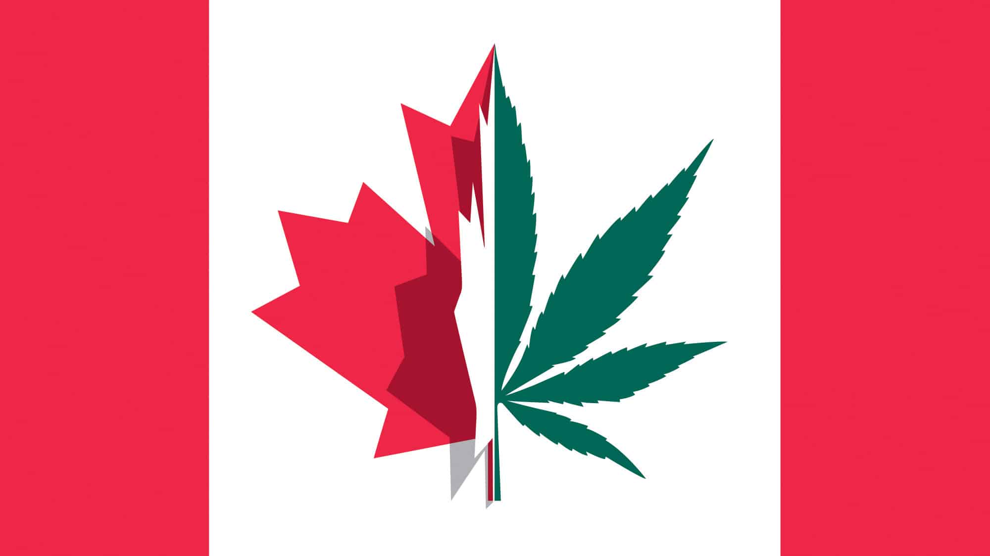 Canadian Cannabis Investments Flow into Canada