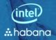 Intel Corp Purchases Habana Labs to Bolster Its AI Market